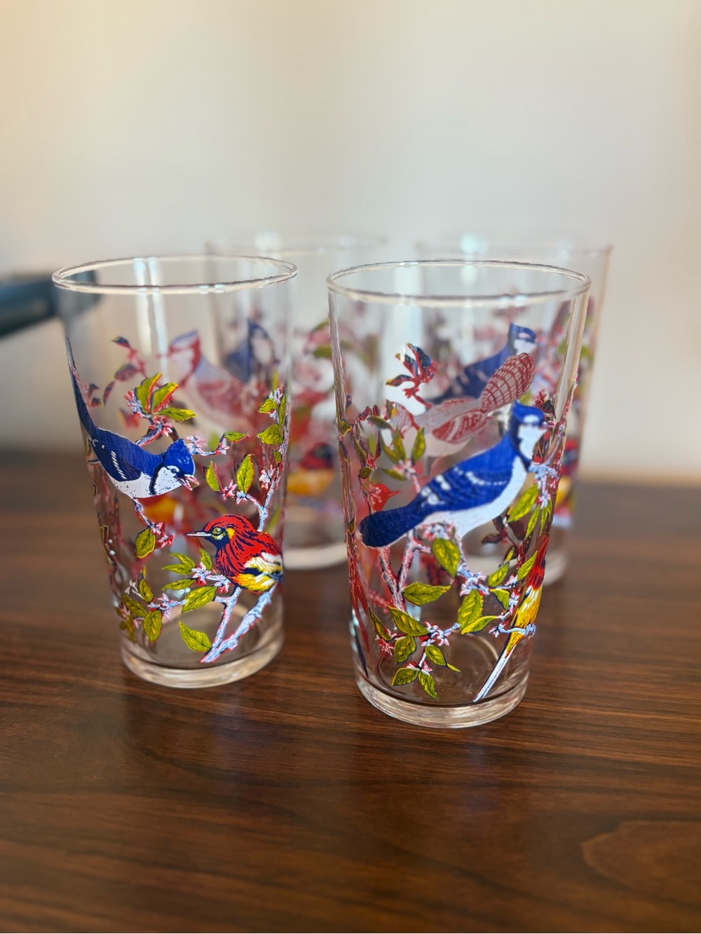 Vintage Colorful Bird-Print Glass Tumbler - Set of 4
